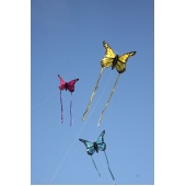 Bella Butterfly (Pink)