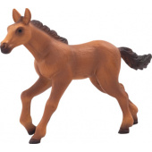 387072-5-edit_hannoveraner_fohlenlauf