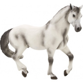 387149_andalusian_grey