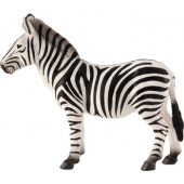 387169_zebra