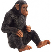387265_chimpanzee