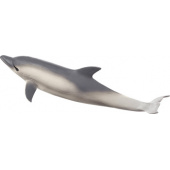 387358_common_dolphin