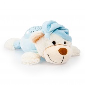 69508aa_2020_pluesch_001